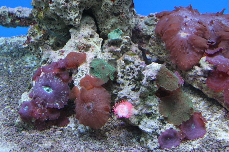 Killikus&reg; Fotographie